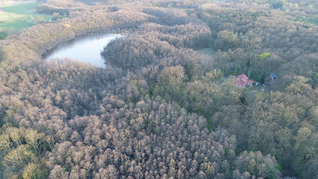 Altes Forsthaus Garzau Apartman Kültér fotó